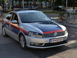 passat-b7-police.png