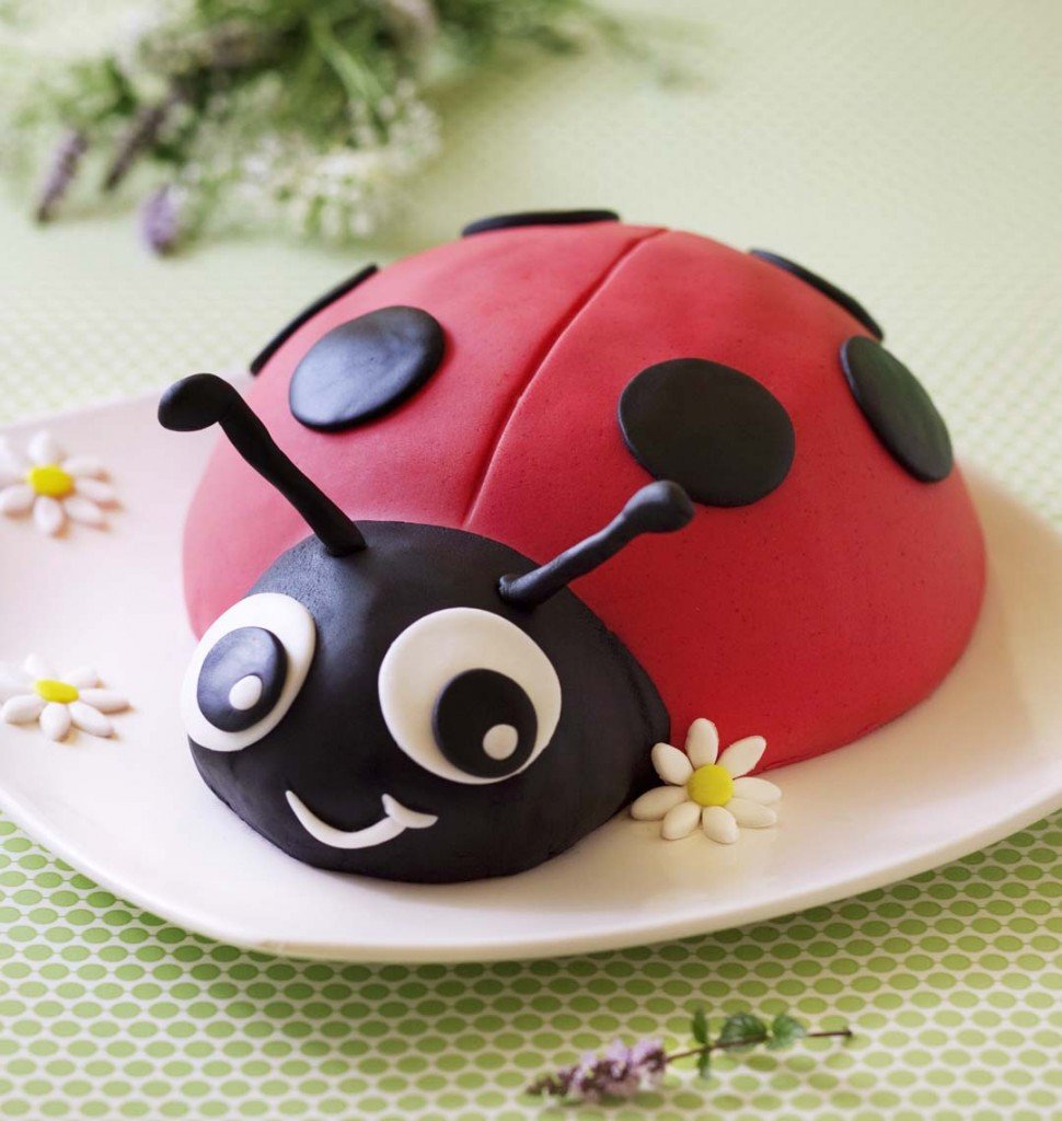 20220611_vwp_gateau_coccinelle.jpg